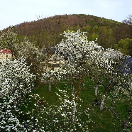Gorski Sad - U Bazyla Пеховице Экстерьер фото